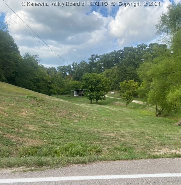 view of property's community with a yard