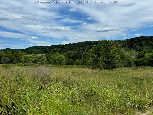 83 Gavin Ln, Hurricane WV, 25526 land for sale