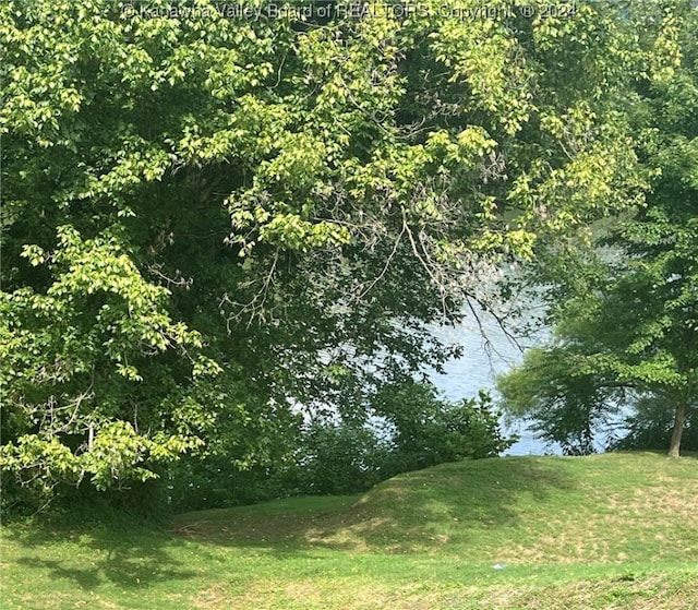 view of local wilderness featuring a water view