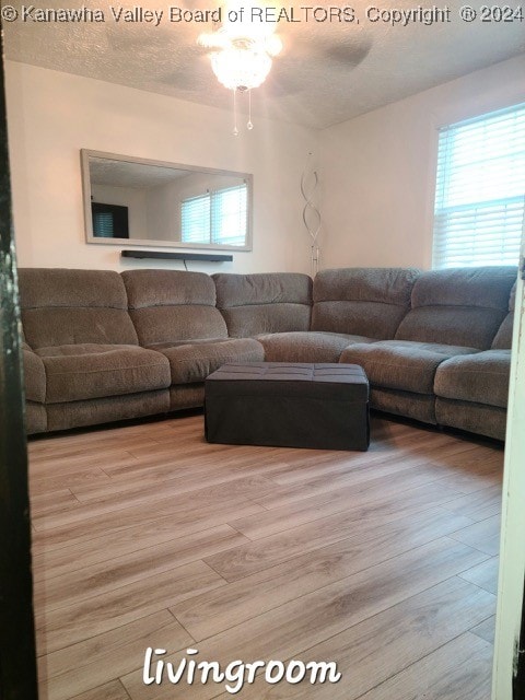 living room featuring light hardwood / wood-style flooring and ceiling fan