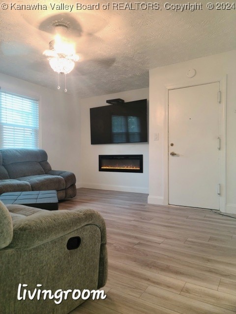 living room featuring a textured ceiling and wood-type flooring