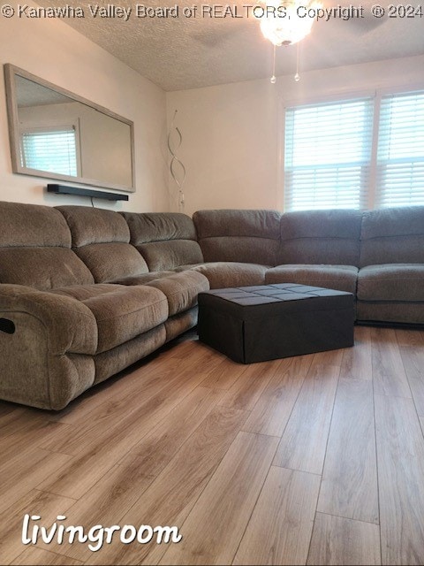 living room featuring a textured ceiling and light hardwood / wood-style floors