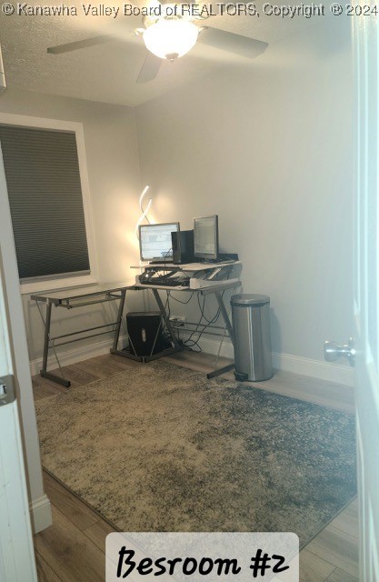 office featuring ceiling fan and hardwood / wood-style flooring