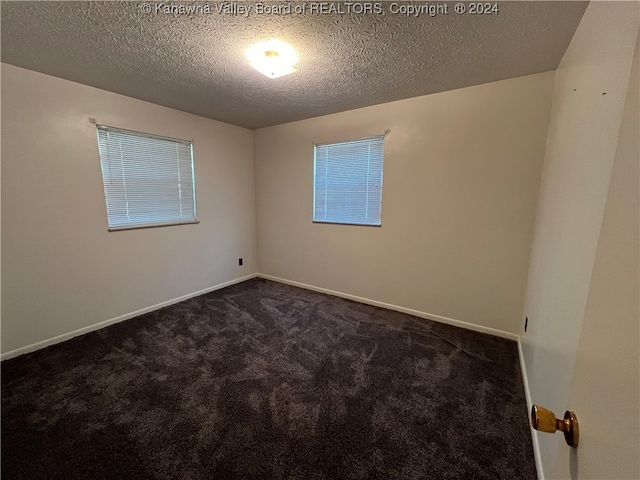 carpeted spare room with a textured ceiling