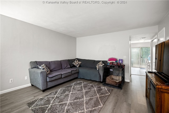 living room with wood-type flooring