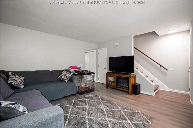 living room featuring hardwood / wood-style flooring