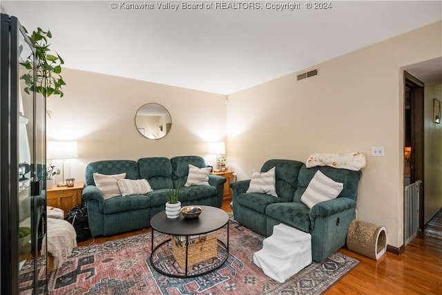 living room featuring wood-type flooring