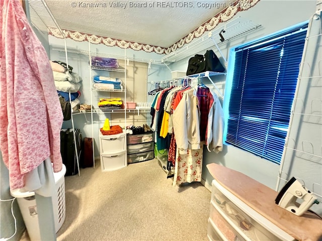 spacious closet with carpet