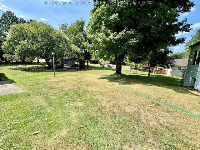 view of yard featuring a storage unit