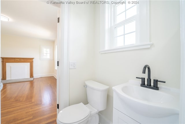 bathroom featuring hardwood / wood-style flooring, vanity, and toilet