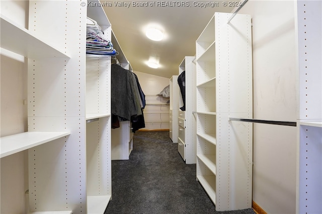 spacious closet featuring dark colored carpet