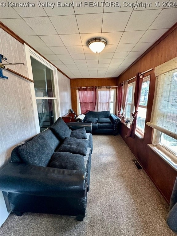 living room with wood walls and carpet