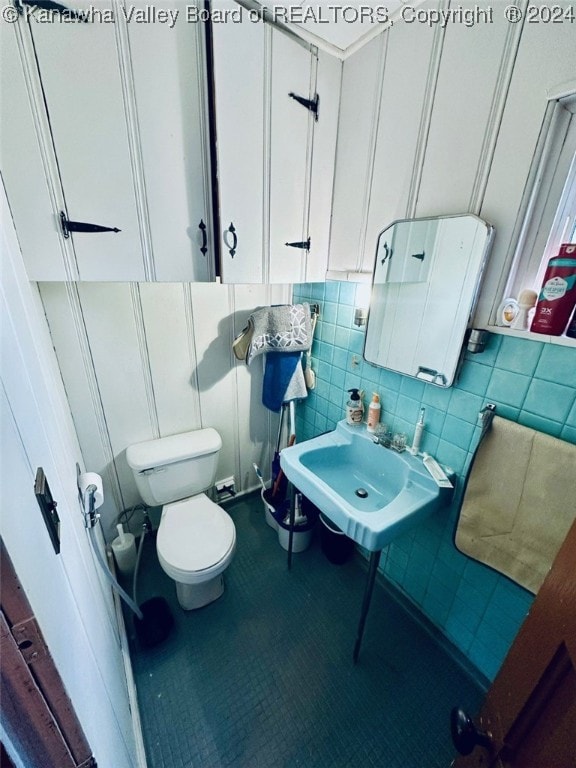 bathroom with toilet and sink