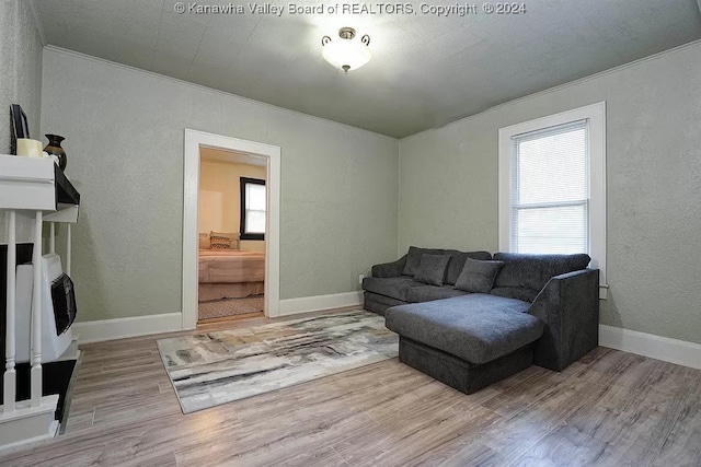 living room featuring ornamental molding, heating unit, and light hardwood / wood-style floors