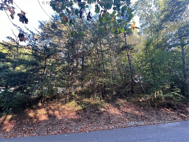 Listing photo 2 for 0 Seven Oaks Dr, Scott Depot WV 25560