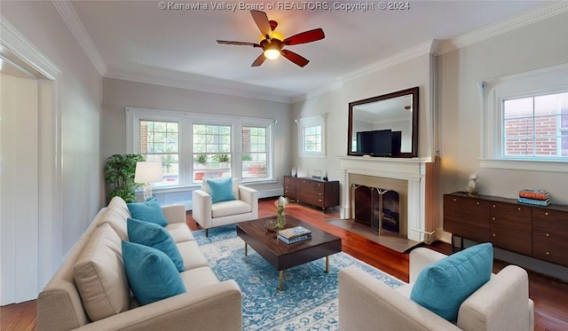 living room featuring dark hardwood / wood-style floors, ceiling fan, and ornamental molding