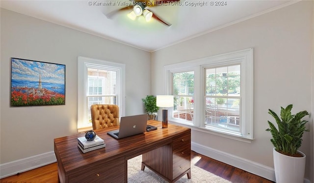 office space with wood-type flooring, plenty of natural light, ornamental molding, and ceiling fan