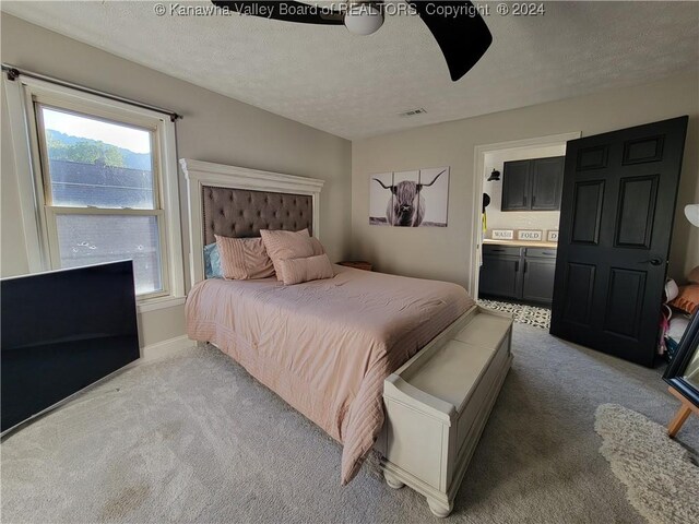 carpeted bedroom with a textured ceiling, ensuite bathroom, and multiple windows