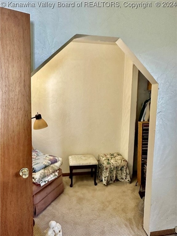 bedroom featuring carpet floors