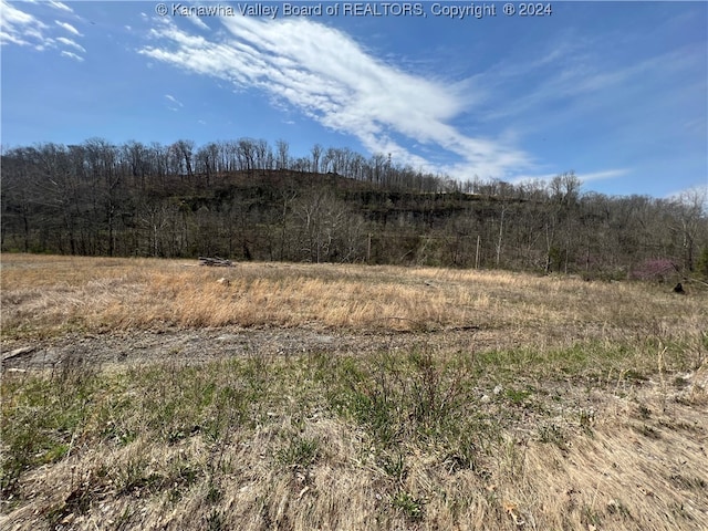 TBD Little Coal River Rd, Alum Creek WV, 25501 land for sale