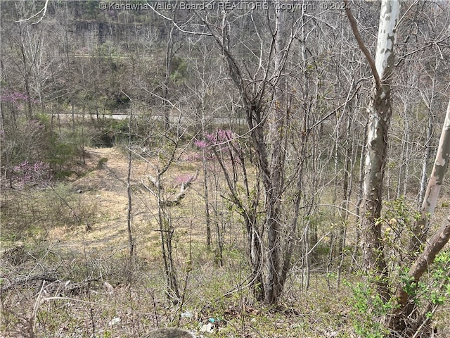 Listing photo 3 for TBD Little Coal River Rd, Alum Creek WV 25501