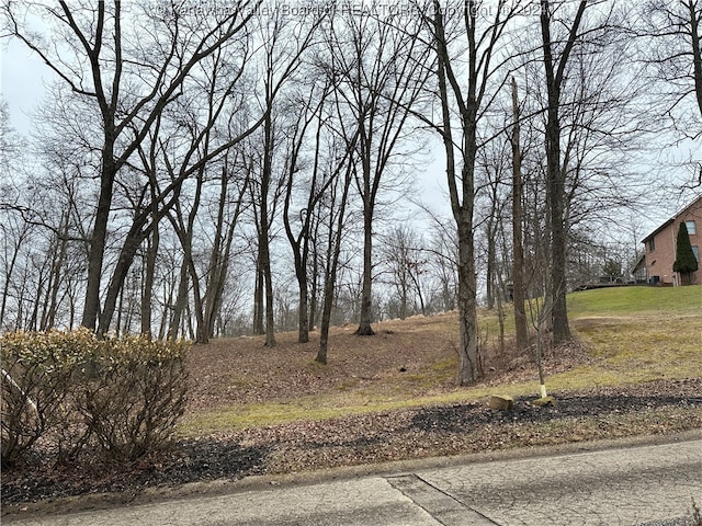 Listing photo 2 for TBD Chestnut Rd, South Charleston WV 25309