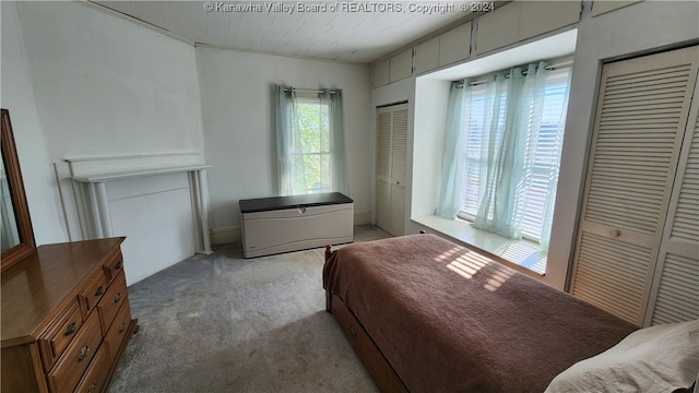 bedroom with carpet floors