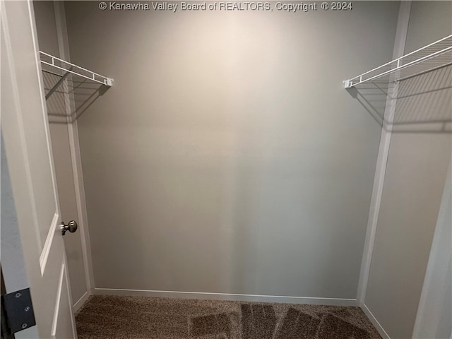 spacious closet featuring carpet flooring