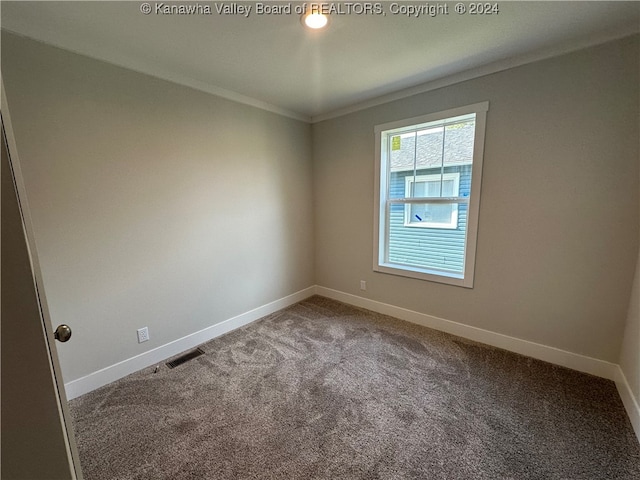 spare room featuring ornamental molding and carpet flooring