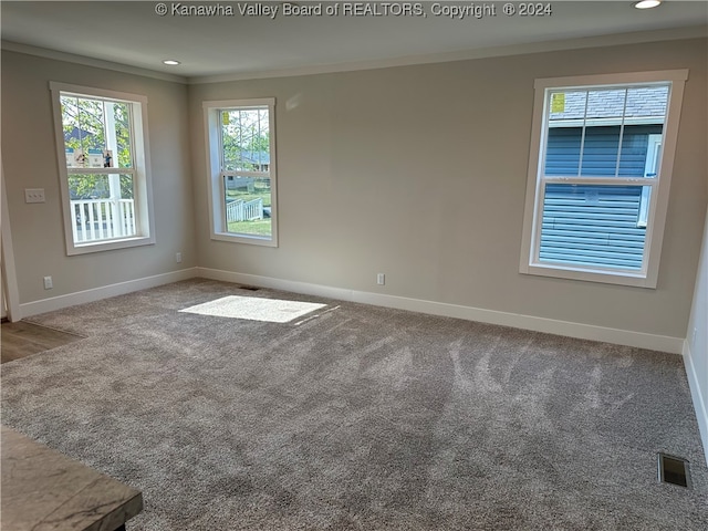 unfurnished room with carpet flooring and ornamental molding