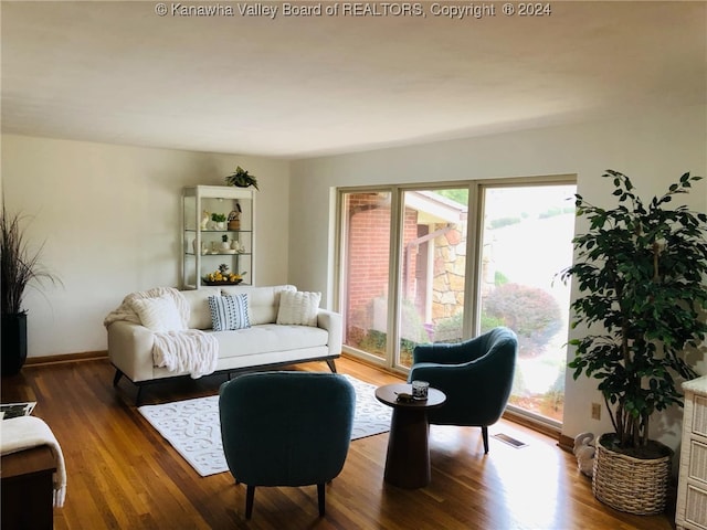 living room featuring hardwood / wood-style floors