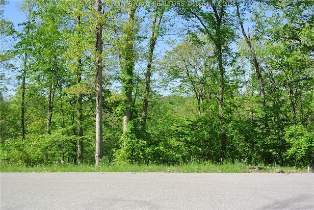 Listing photo 3 for LOT34 Double Eagle Dr, Charleston WV 25314