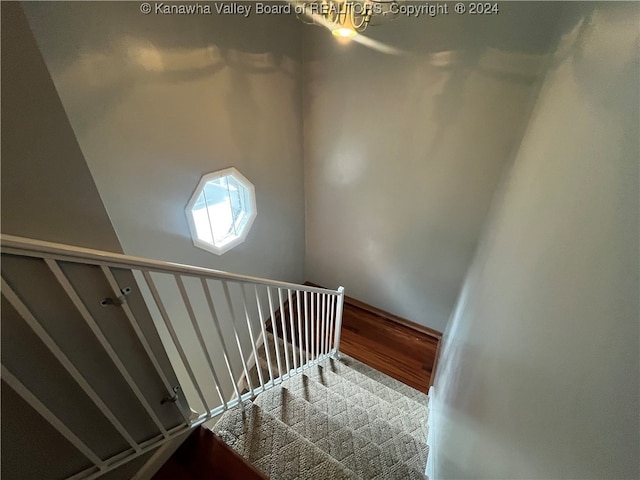 stairway with carpet floors