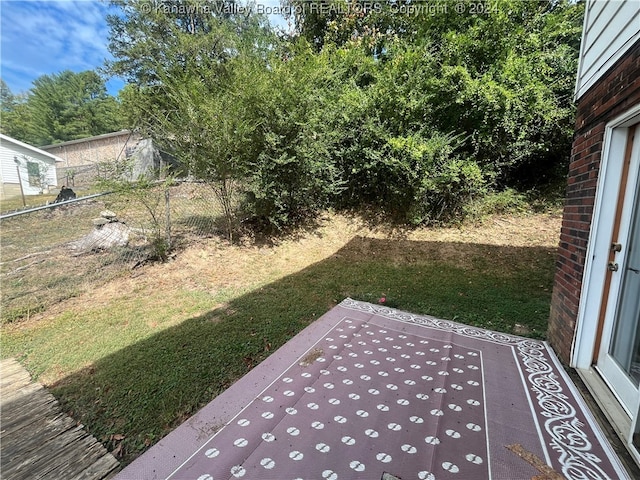 view of yard with a patio