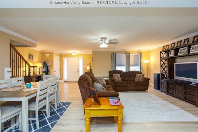 living room featuring ceiling fan, ornamental molding, and light hardwood / wood-style floors