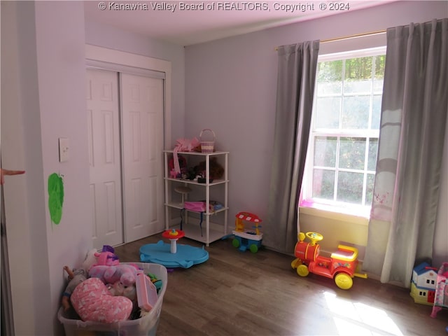 game room with wood-type flooring