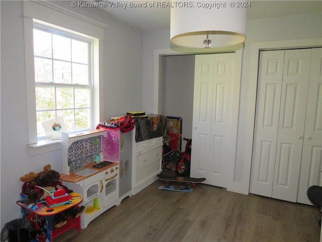 playroom with wood-type flooring and plenty of natural light