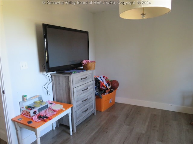 bedroom featuring dark hardwood / wood-style floors