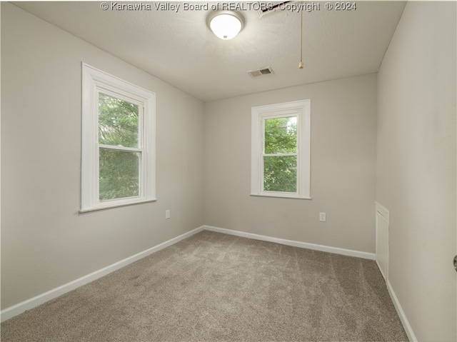 carpeted empty room featuring plenty of natural light