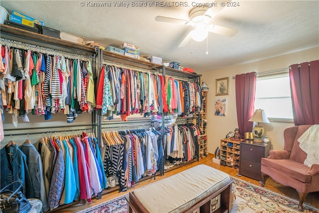 walk in closet featuring ceiling fan and wood-type flooring