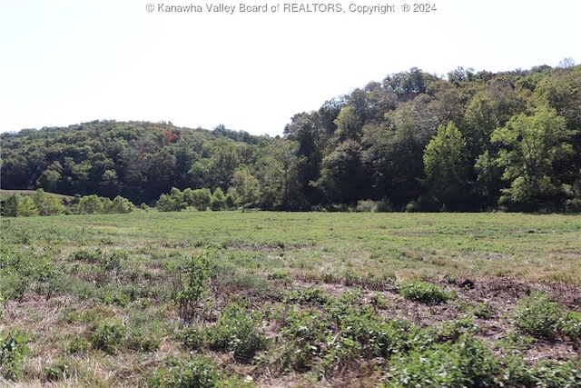 Listing photo 2 for 0 16 Mile Rd, Apple Grove WV 25187