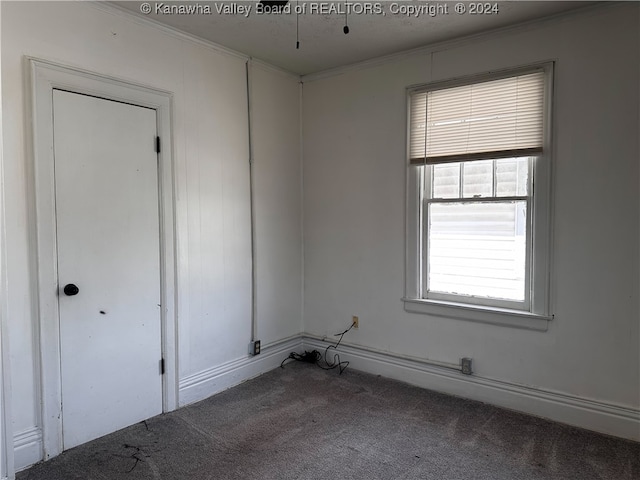 carpeted spare room featuring crown molding