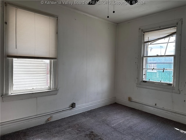 carpeted empty room with crown molding