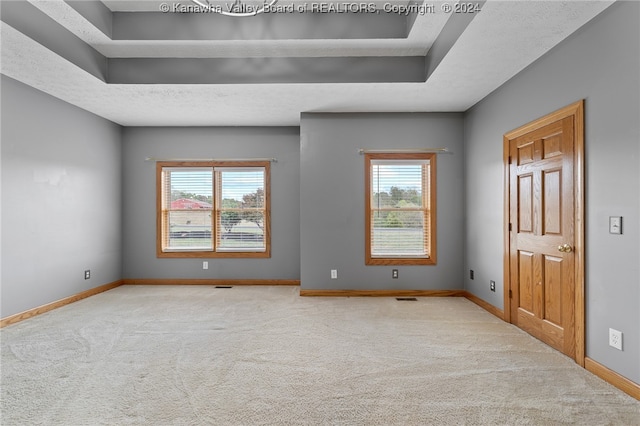 unfurnished room with light carpet, a textured ceiling, and a healthy amount of sunlight