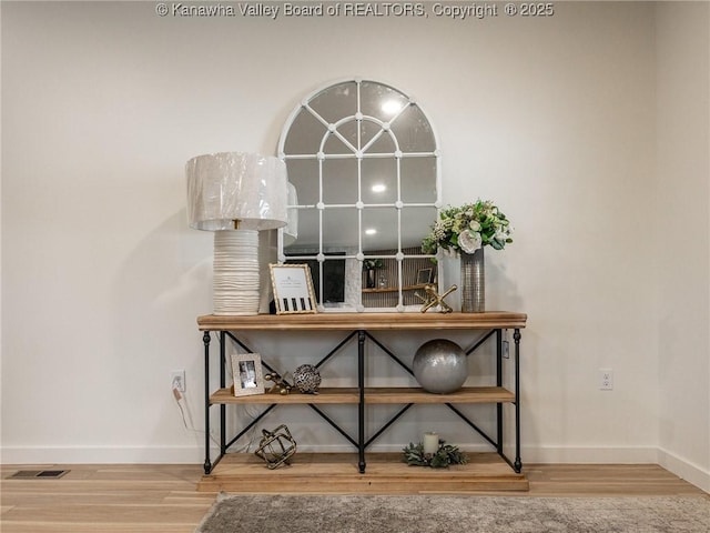 room details with hardwood / wood-style flooring