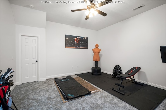 workout room featuring carpet and ceiling fan