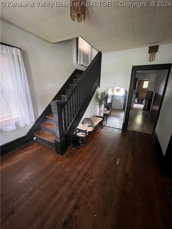 stairway with hardwood / wood-style flooring