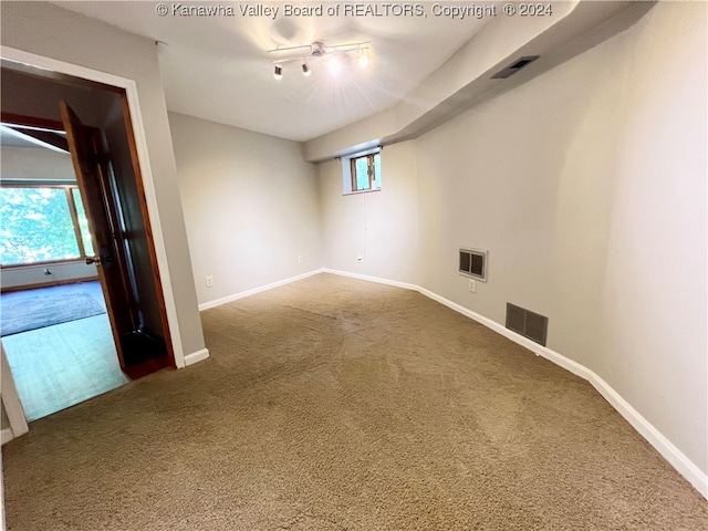 spare room featuring carpet floors, plenty of natural light, and track lighting