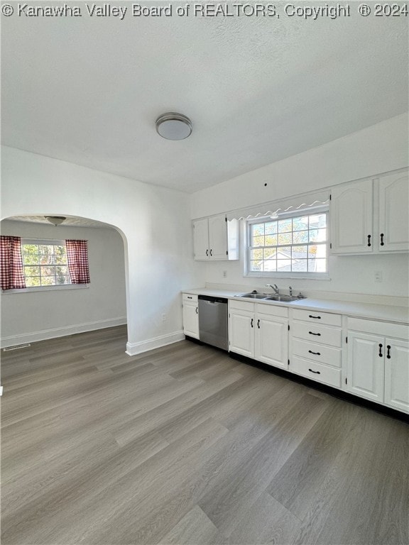 kitchen with white cabinetry, a healthy amount of sunlight, and dishwasher