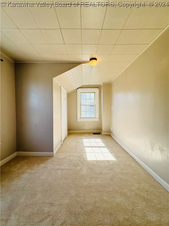 additional living space featuring carpet floors